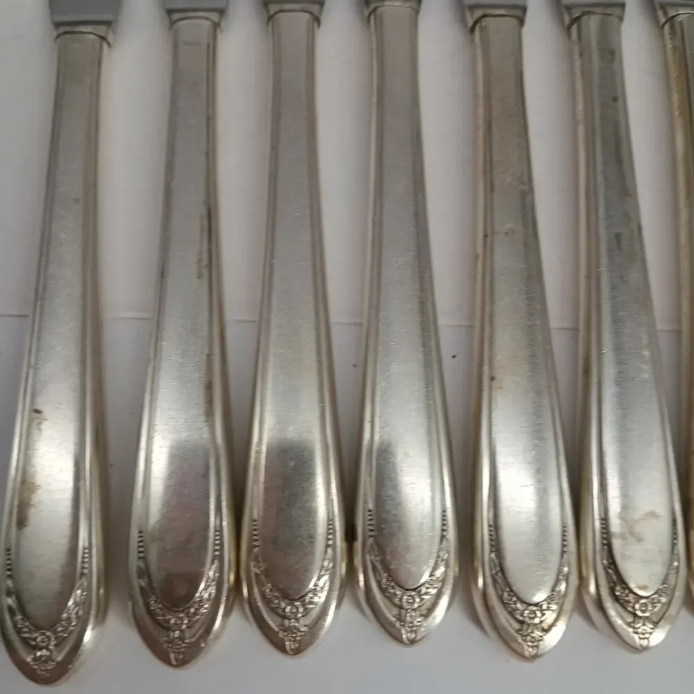 8X BK 1847 Rogers Bros IS International Silver Plate Lovelace Butter Knives